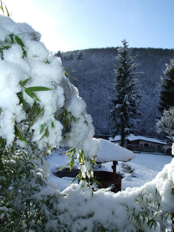 Hotel Forsthaus Volkesfeld Buitenkant foto